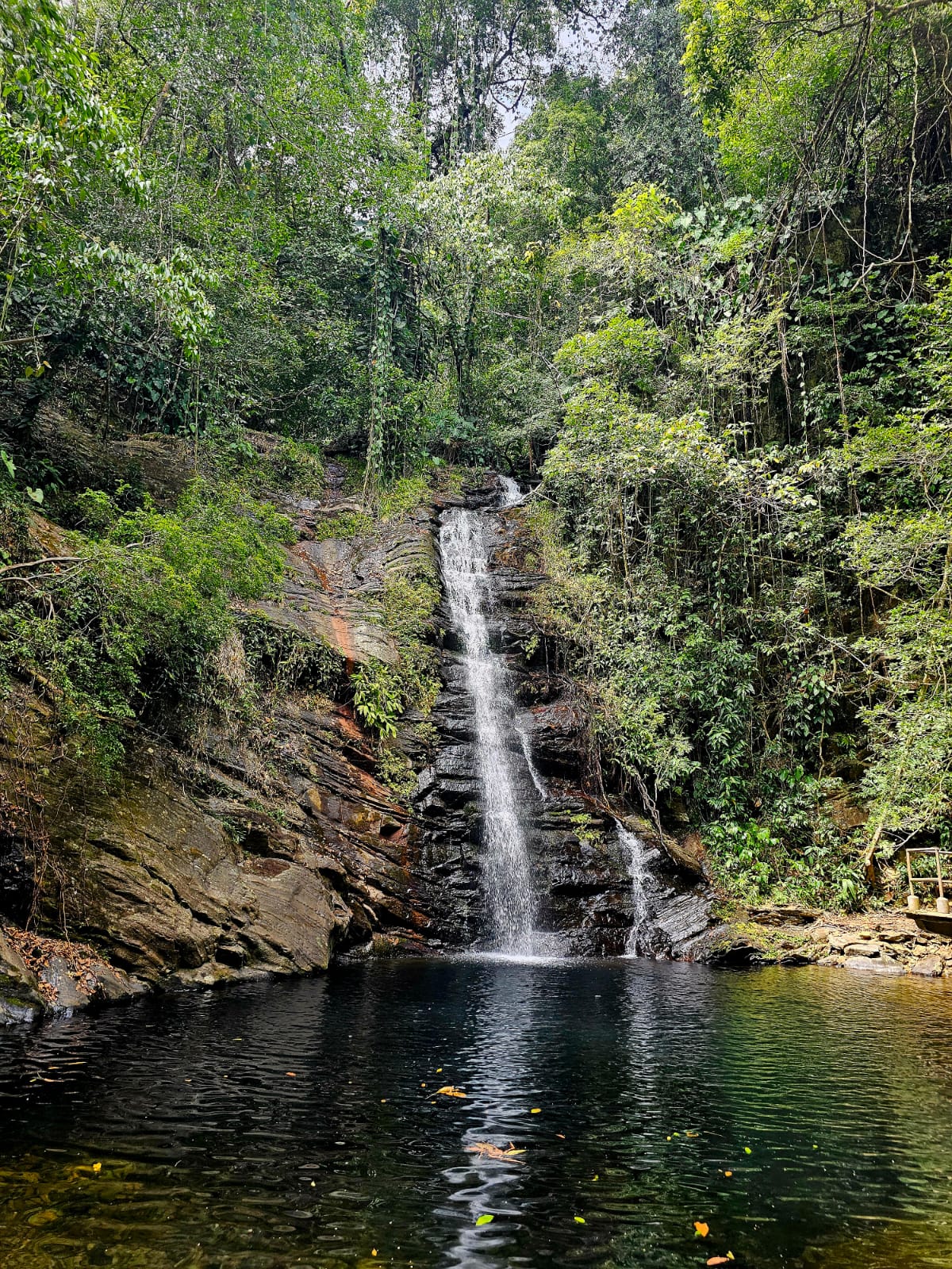A secluded waterfall surrounded by Belizean rainforest